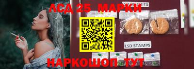 дмт Кулебаки