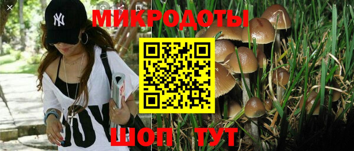 Галлюциногенные грибы MAGIC MUSHROOMS  Псилоцибиновые грибы Psilocybe  Егорьевск  Вход с VPN 