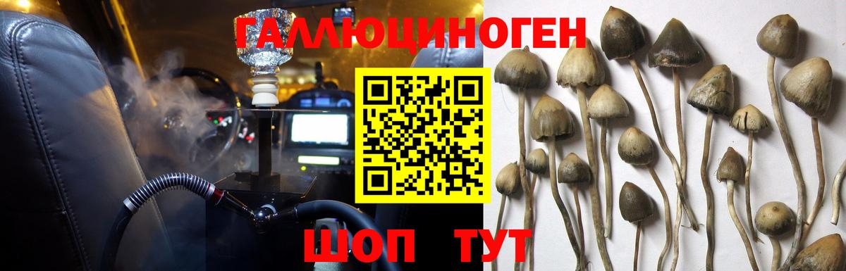 Галлюциногенные грибы мицелий Егорьевск